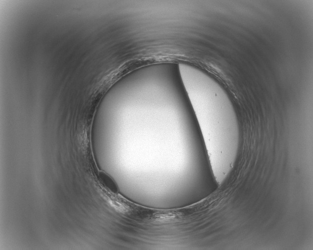 X0000061150405200511181038