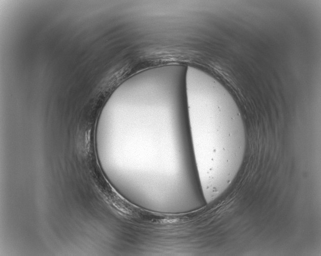 X0000061150406200511181038