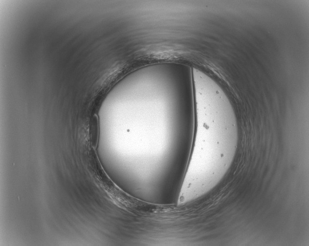 X0000061150407200511181038