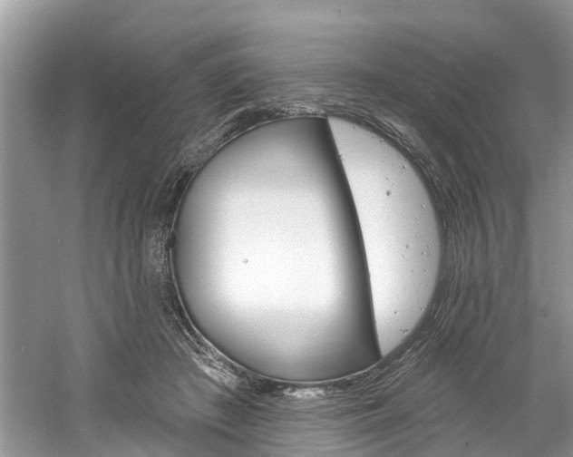 X0000061150409200511181038