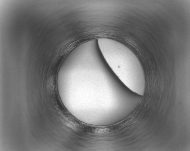 X0000061150410200511181038