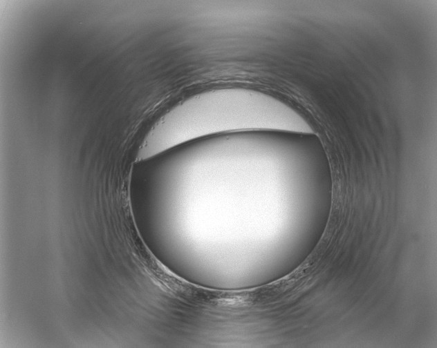 X0000061150411200511181038