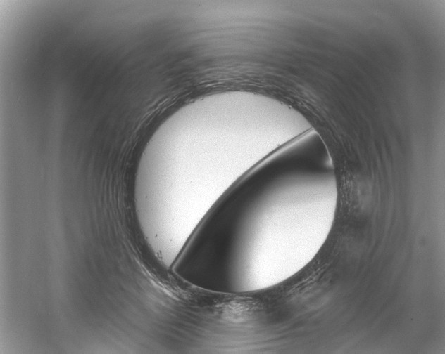 X0000061150412200511181038