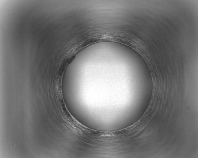 X0000061150415200511181038