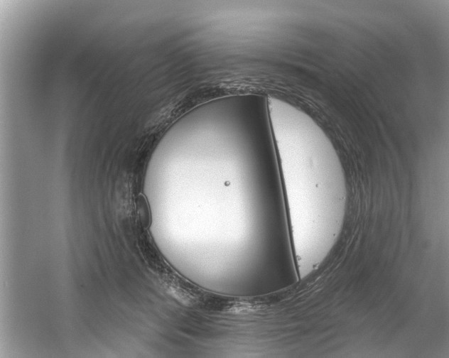 X0000061150416200511181038