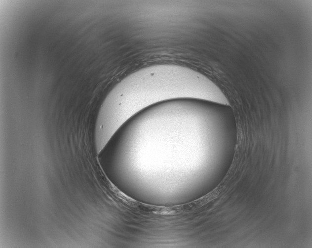 X0000061150419200511181038