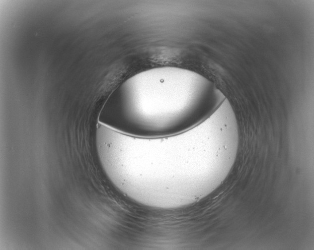 X0000061150420200511181038