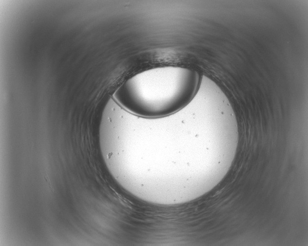 X0000061150424200511181038