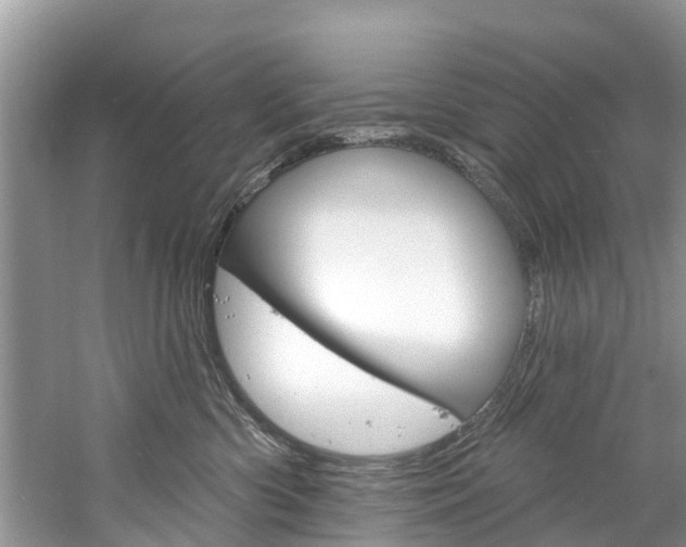 X0000061150426200511181038