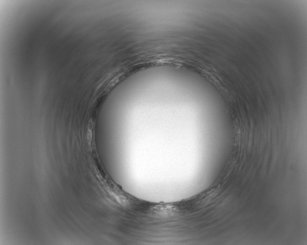 X0000061150427200511181038