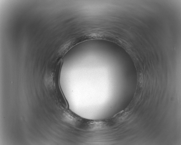 X0000061150428200511181038