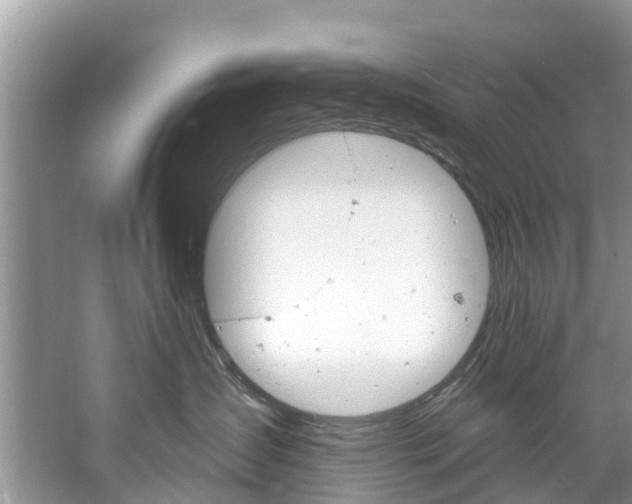 X0000061150431200511181038