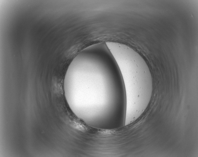 X0000061150432200511181037