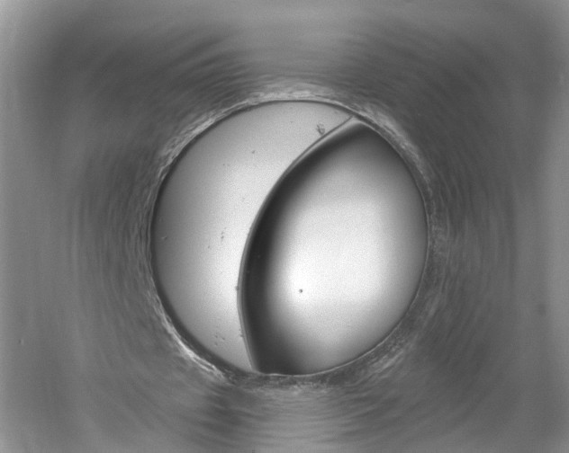 X0000061150433200511181037