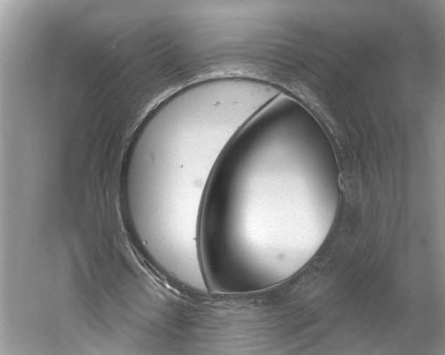 X0000061150434200511181037