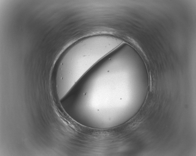 X0000061150435200511181037