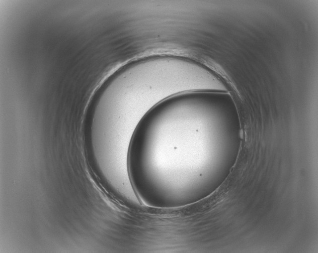 X0000061150436200511181037