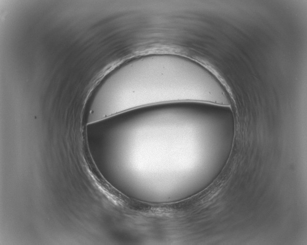 X0000061150437200511181037