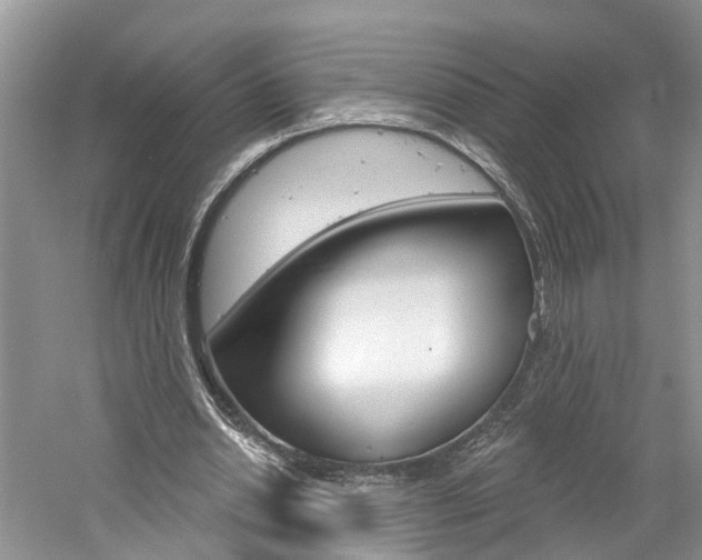 X0000061150438200511181037