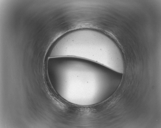 X0000061150439200511181037