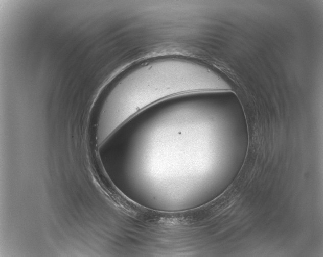 X0000061150440200511181037