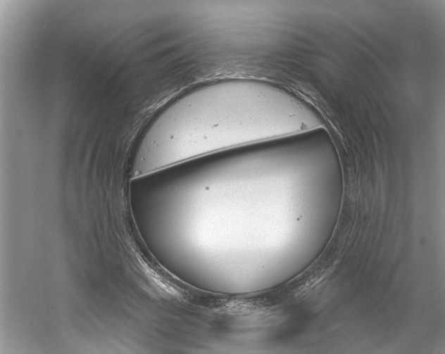 X0000061150441200511181037