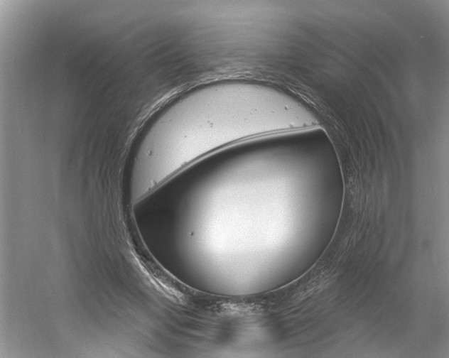 X0000061150442200511181037