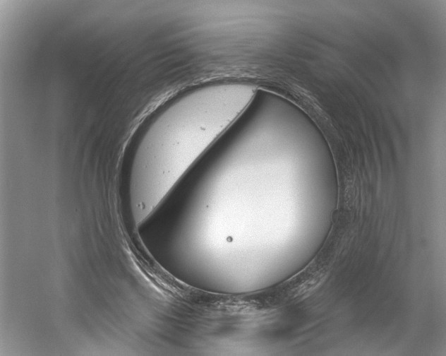 X0000061150443200511181037