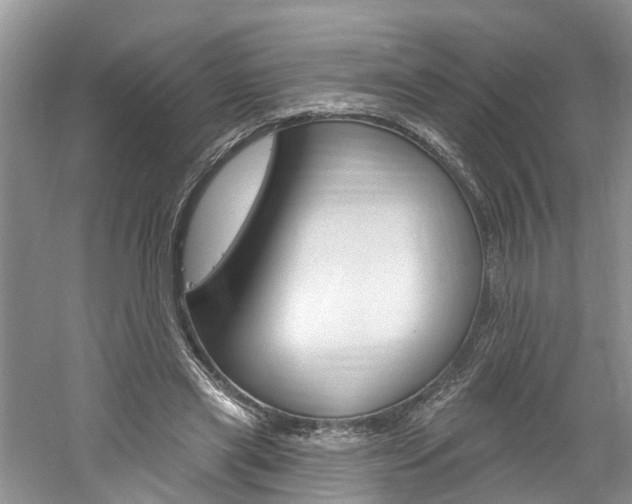 X0000061150445200511181037