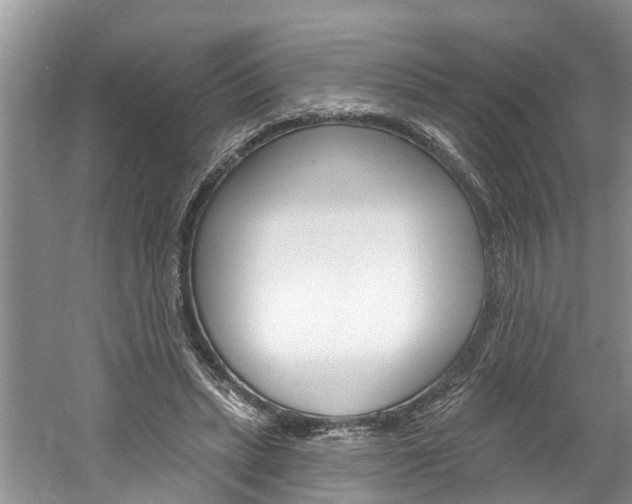 X0000061150447200511181037