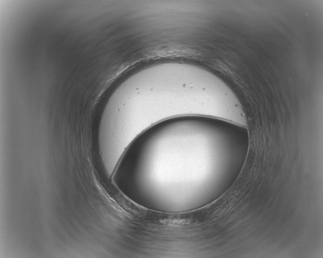 X0000061150448200511181037