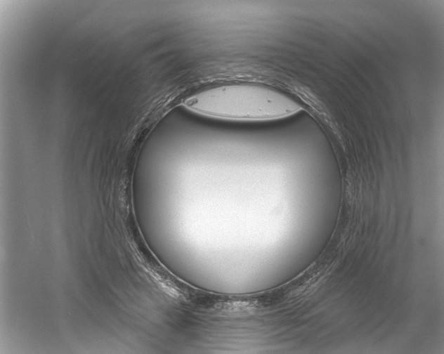 X0000061150449200511181037