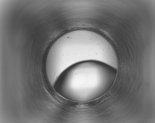 X0000061150451200511181037