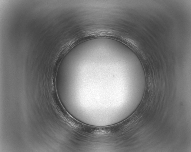 X0000061150453200511181037