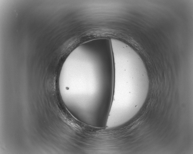 X0000061150454200511181037