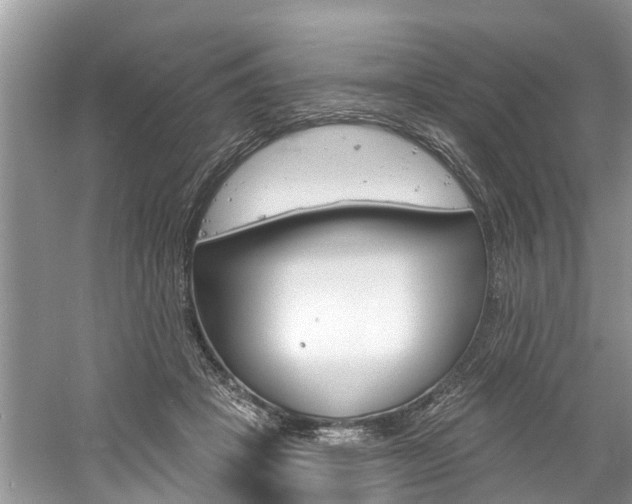 X0000061150457200511181037