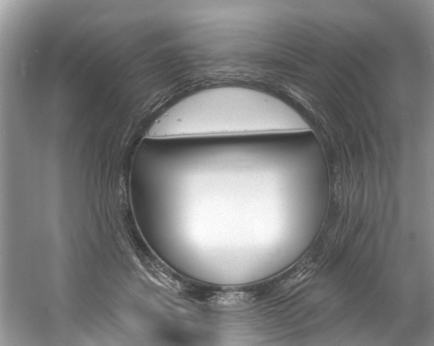 X0000061150459200511181037