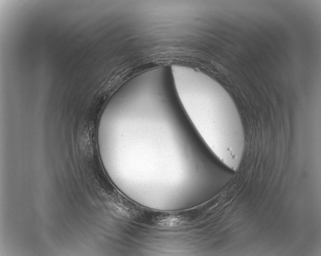 X0000061150460200511181037