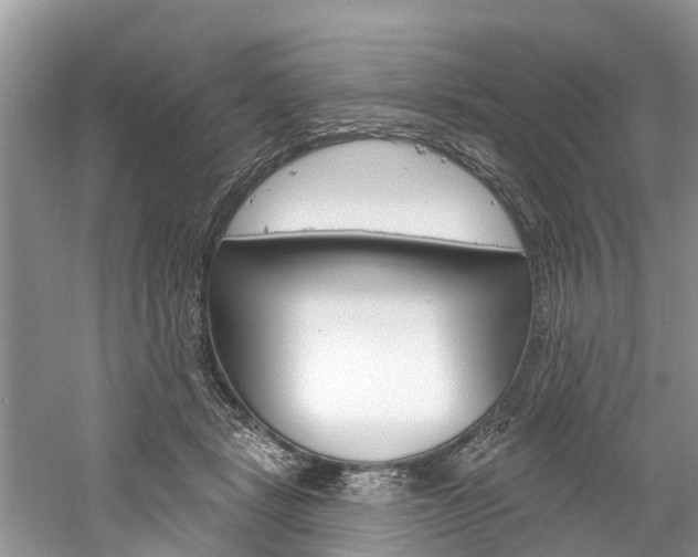 X0000061150461200511181037