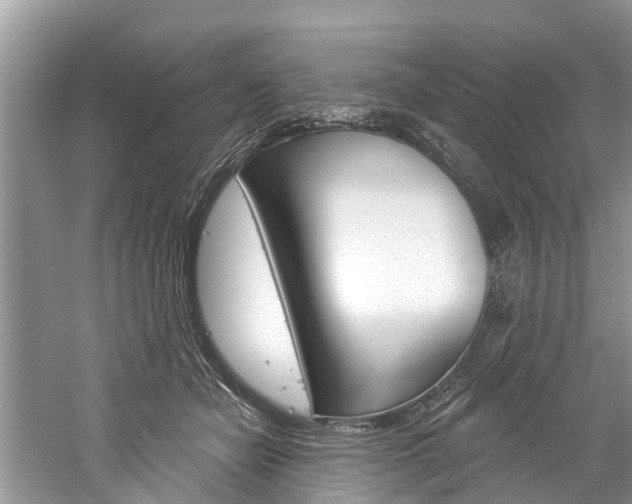 X0000061150462200511181037