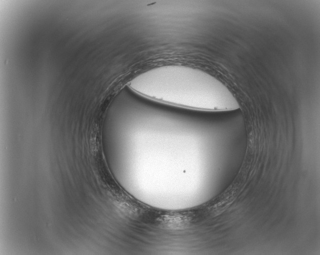 X0000061150464200511181037