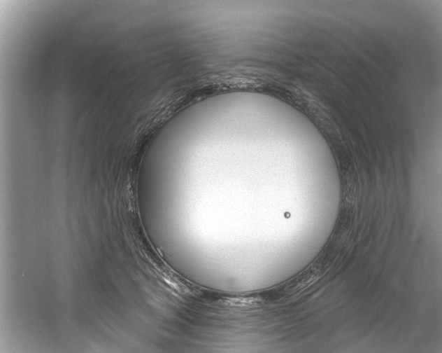 X0000061150465200511181037