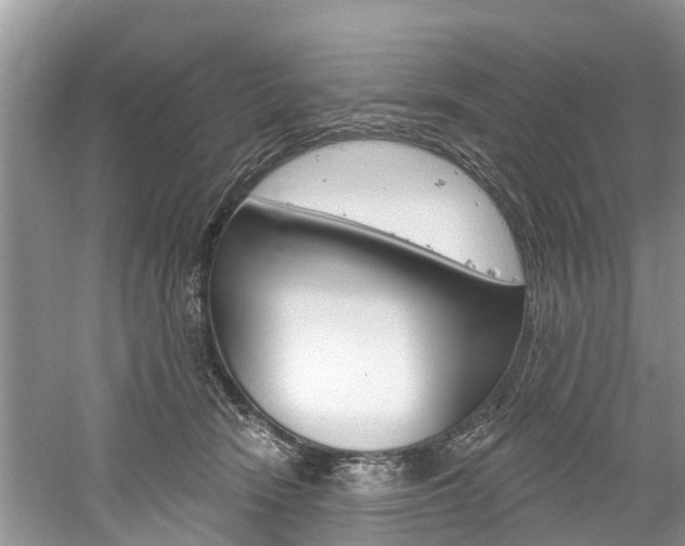 X0000061150466200511181037