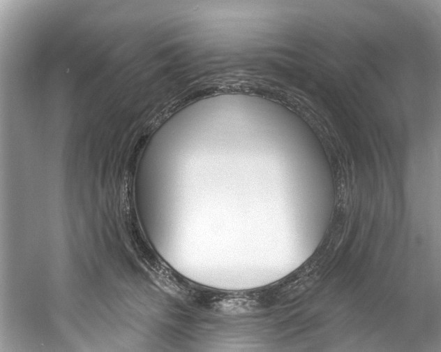 X0000061150468200511181037