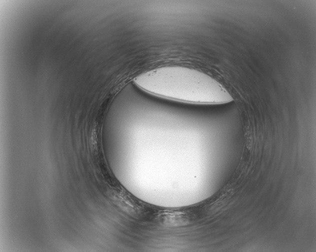 X0000061150472200511181037