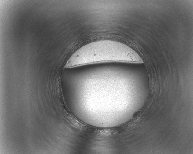 X0000061150473200511181037