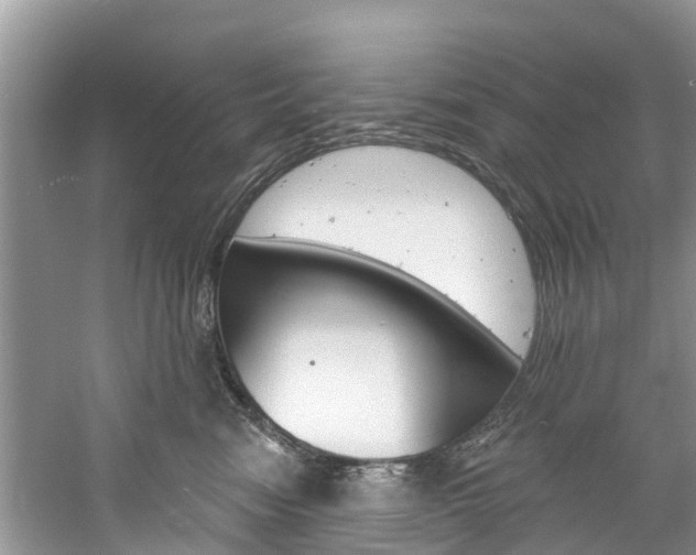 X0000061150474200511181037