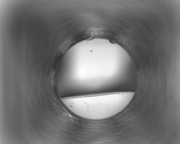 X0000061150475200511181037