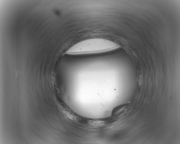 X0000061150476200511181037