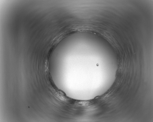 X0000061150478200511181037